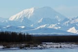 Mt._Foraker._Shot_from_Talkeetna,_Alaska_(25711013851)