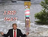 Trans Flood