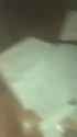X7718_thumb.jpg