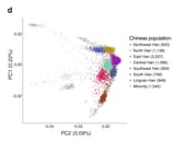 Han_chinese_genetic_0