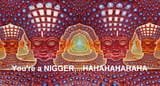 niggers