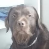 728567818538561