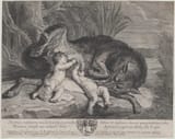 image-28