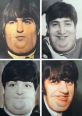 MeatTheFatles