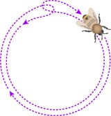 intro-round-dance