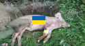 fate of ukraine_thumb.jpg