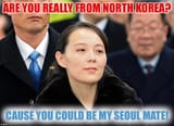 86256450