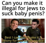 best i can do is make it a felony for you to tell people about jews sucking baby penis