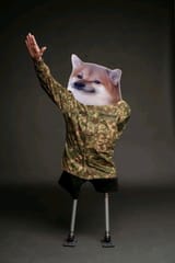 nafo zog