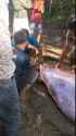 686990aec782f_thumb.jpg