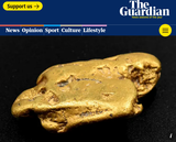 hooknose gold nugget