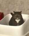 Poopin_thumb.jpg