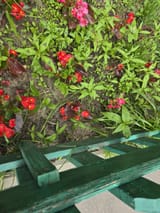 IMG_20250707_052749_518