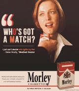 scully morley