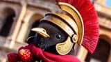 Bri_bri_bricus_dicus_-_Copia