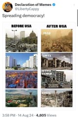 Democracy Shit