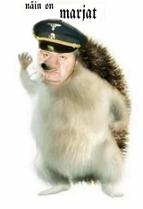 644575
