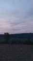 WhatsApp Video 2023-10-13 at 21.14.33_thumb.jpg