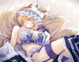 __yakumo_ran_touhou_drawn_by_sarasadou_dan__sample-d58439610cdd72c214ffdd9224fdcd20
