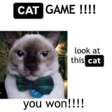 cat game