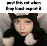 post this fucking cot