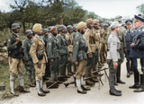 waffsshind