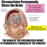 1662067887174586