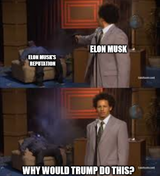 elon meltie