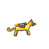 jet-pack-cat