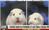 A Normal Day on Fox
