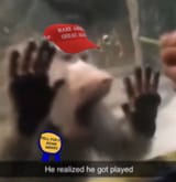 Gu_AlDOWIAEsv11