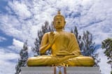 Buddha