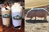 joes-steaks-milkshake-pig-greensgrow-900x600