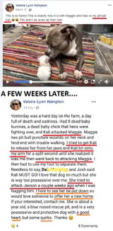 BadDayOnTheFarm