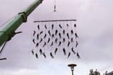 nsfl.iran.wind.chimes.hanged.1616726526546
