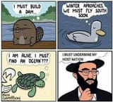 Jew Instinct