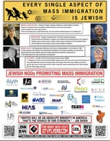jewmassimmigration