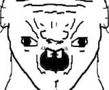 zRugLPlh