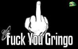 fuck you gringo