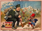 turkroach