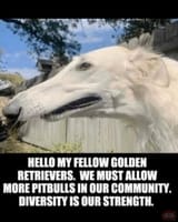 1751641462565160