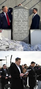 trump, musk and shapiro being kikes