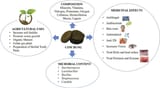 Superfood cow dung