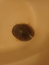 IMG_20250707_151138