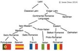 Latin Languages - Jesse Dass, Melbourne 2014