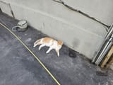IMG_20250707_161756_719