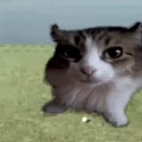 1743745275803451