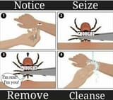 NoticeSeizeRemoveCleanse