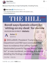 trump epstein 2
