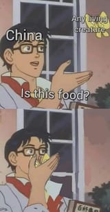 1706301985841658